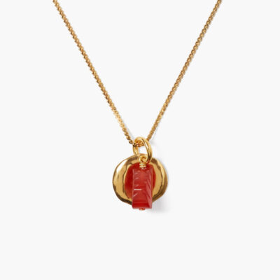 Paz Coin Necklace Carnelian