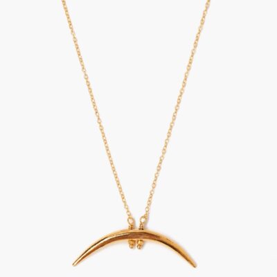 Yellow Gold Horn Necklace