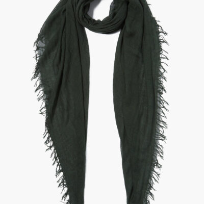 Kombu Green Cashmere and Silk Scarf