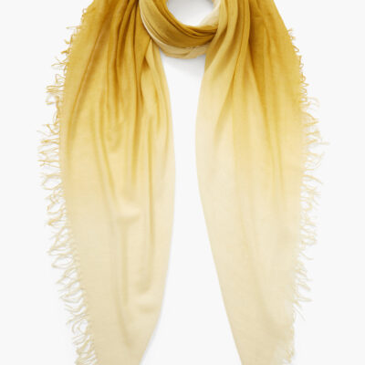 Green Sulphur Dip-Dyed Cashmere and Silk Scarf